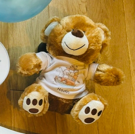 Noah's Ark teddy bear with tshirt