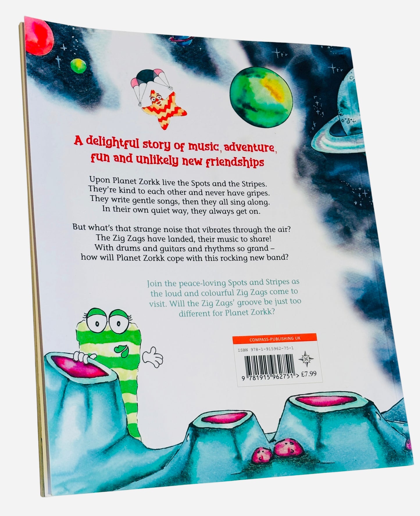 'The Zig Zags' children's rhyming picture book - SIGNED!